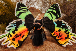 maternity picture of mom with large butterfly wings