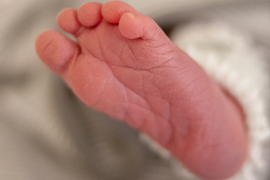 close up of newborn baby foot